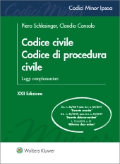 Codice delle esecuzioni civili e penali spiegato