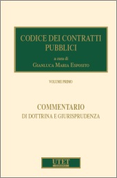 Codice dei contratti pubblici 