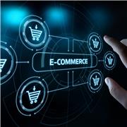 Corso online E-Commerce e tutela dell'acquirente