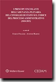 I principi vincolanti dell'adunanza plenaria del Consiglio di Stato sul Codice del processo amministrativo (2010-2015) 