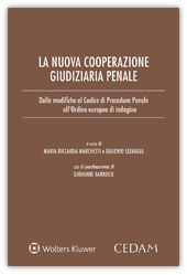 La nuova cooperazione giudiziaria penale 