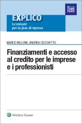 eBook - Finanziamenti e accesso al credito per le imprese e i professionisti 