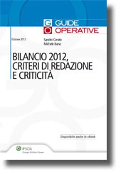 Bilancio 2012, criteri di redazione e criticità 