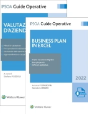 Business plan e valutazione d'azienda 