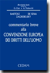 Commentario breve alla Convenzione europea dei diritti dell'uomo e delle libertà fondamentali 