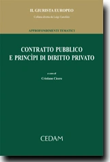 Contratto pubblico e principi di diritto privato 