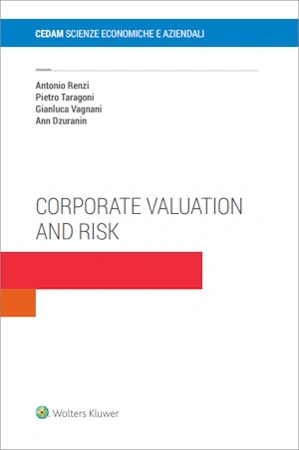 Corporate valuation and risk 