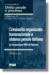 Criminalità organizzata transnazionale e sistema penale italiano 