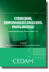 Cybercrime, responsabilità degli enti, prova digitale 