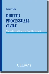 Diritto processuale civile 