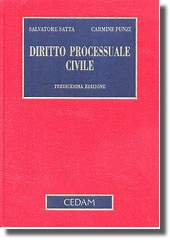 Diritto processuale civile 