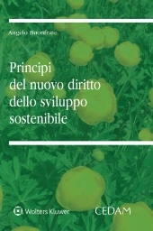I principi del nuovo diritto dello sviluppo sostenibile