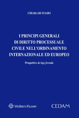 I principi generali di diritto processuale civile nell'ordinamento internazionale ed europeo. Prospettive de lege ferenda 