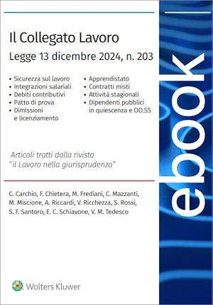 Il Collegato Lavoro 