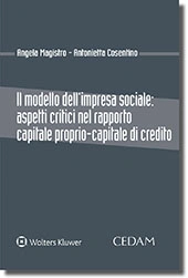 Il modello dell'impresa sociale: aspetti critici nel rapporto capitale proprio-capitale di credito 