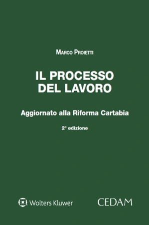Il processo del lavoro