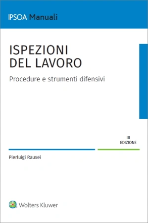 Ispezioni del lavoro