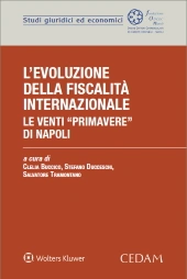 L'evoluzione della fiscalità internazionale le venti "primavere" di Napoli