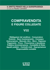 La Compravendita e le figure collegate. Vol. VIII: La tutela del compratore e del venditore - Vendita e pubblica amministrazione 
