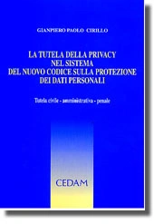 La tutela della privacy nel sistema del nuovo codice sulla protezione dei dati personali 