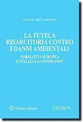 La tutela risarcitoria contro i danni ambientali