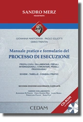 Manuale pratico e formulario del processo di esecuzione 
