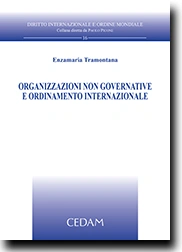 Organizzazioni non governative e ordinamento internazionale 
