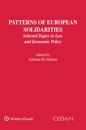 Patterns of european solidarities 