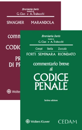 Penale: Codice penale + Codice antimafia e altre procedure di prevenzione