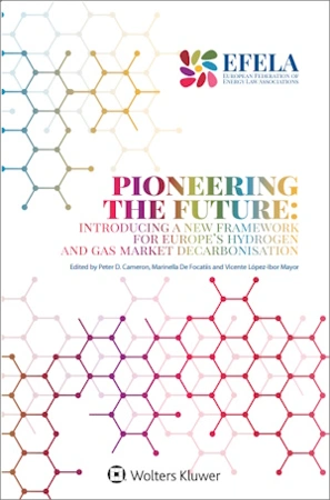 Pioneering the future: introducing a new framework for Europe's hydrogen and gas market decarbonisation 