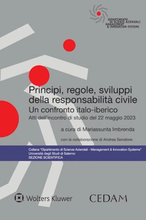 Principi, regole, sviluppi della responsabilità civile 