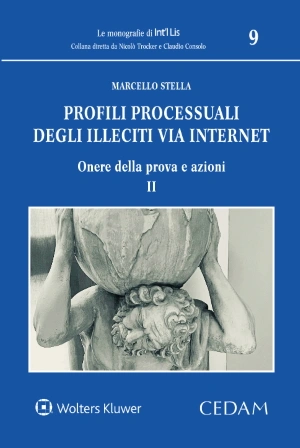 Profili processuali degli illeciti via internet. II. Onere della prova e azioni 