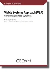 Viable Systems Approach (VSA) 
