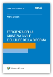eBook - Efficienza della giustizia e culture della riforma 