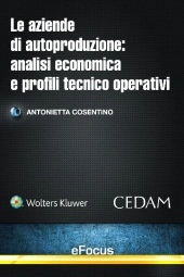 eBook - Le aziende di autoproduzione: analisi economica e profili tecnico-operativi 