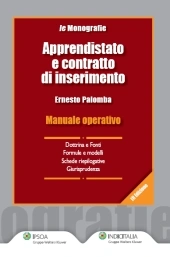 Apprendistato e contratto di inserimento 