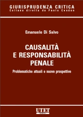 Causalità e responsabilità penale 