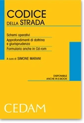 Codice della strada. Schemi operativi 