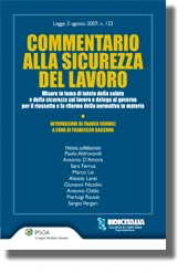 Commentario alla sicurezza del lavoro 