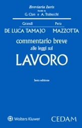 Commentario breve alle leggi sul lavoro 