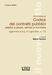 Commento al Codice dei contratti pubblici 