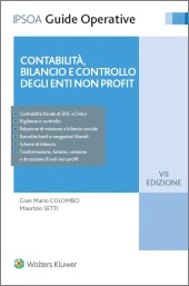 Contabilità, bilancio e controllo degli enti non profit 