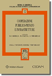 Cooperazione pubblico - privato e infrastrutture 