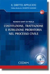 Costituzione, trattazione e istruzione probatoria nel processo civile 
