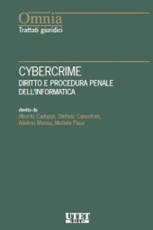 Cybercrime 
