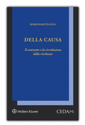 Della causa 