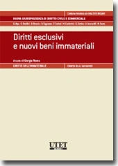 Diritti esclusivi e nuovi beni immateriali 