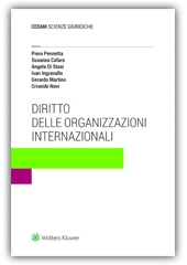 Diritto delle organizzazioni internazionali 