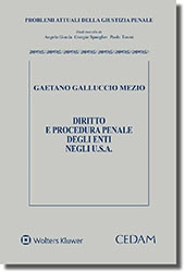 Diritto e procedura penale degli Enti negli U.S.A. 