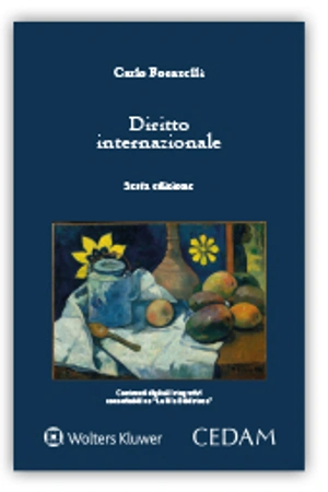 Diritto internazionale 